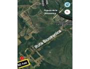 Vendo Propiedad de 80 Hectáreas, Ruta Bioceánica, Carmelo Peralta - CLCS7680372