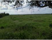 Vendo Estancia Ganadera de 18.904 Hectáreas, Zona Toro Pampa - CLCS7681344