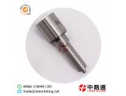 Diesel Injector Nozzles D254 & Diesel Injector Nozzles D341