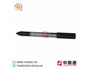 Diesel Injector Nozzles D381 & Diesel Injector Nozzles D456