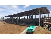 G075c. VENDO ESTANCIA FORMADA EN EL CHACO, ZONA RIO VERDE!!!