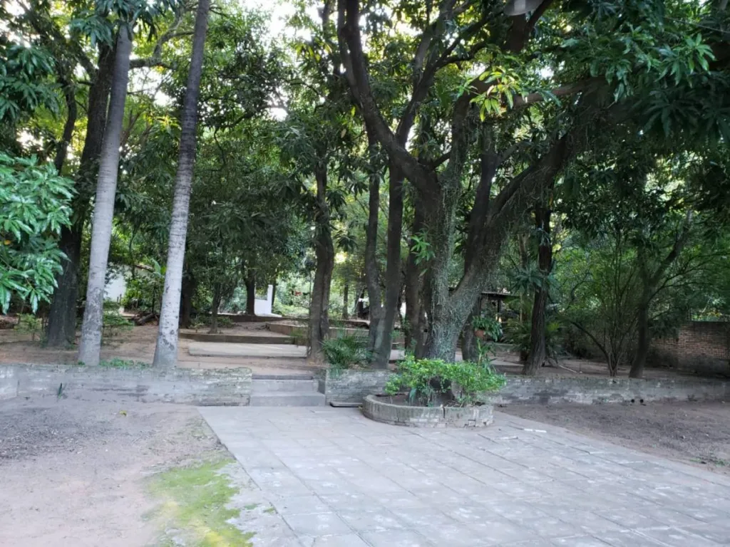 VENDO PROPIEDAD EN EL BARRIO MBOCAYATY — foto 3