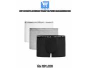 SET DE ROPA INTERIOR TOMMY HILFIGER UM0UM02203 0XK