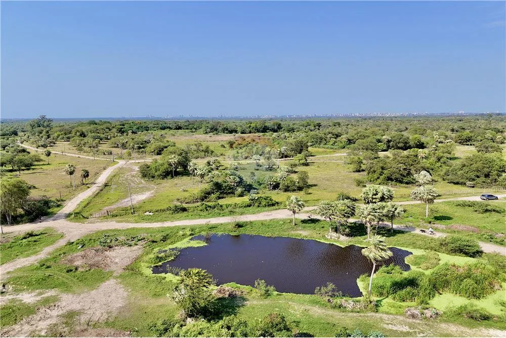 VENDO CAMPO DE 50 HECTAREAS EN JOSE FALCON VILLA HAYES — foto 2