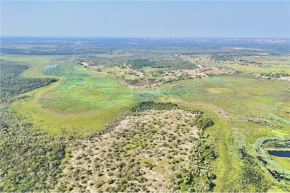 VENDO CAMPO DE 50 HECTAREAS EN JOSE FALCON VILLA HAYES — foto 3
