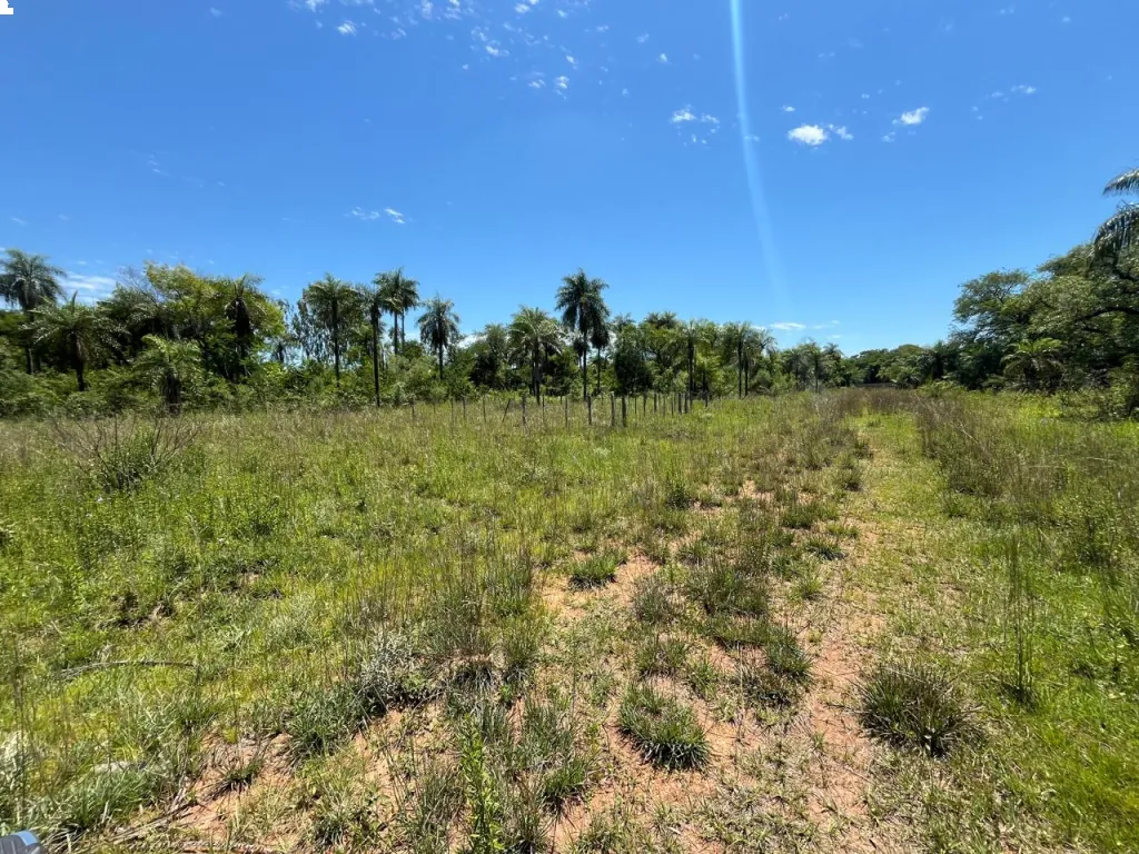Vendo terreno en San Bernardino El Cortijo — foto 2
