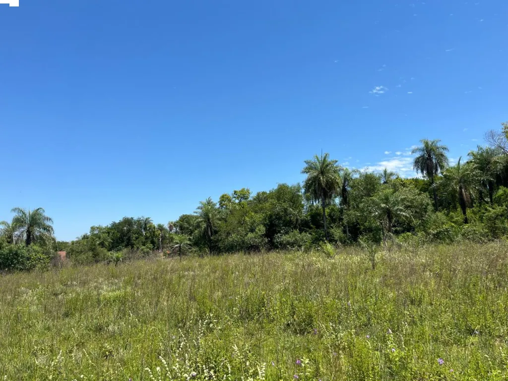 Vendo terreno en San Bernardino El Cortijo — foto 3