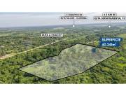 VENDO TERRENO 4 HECTAREAS EN NUEVA ASUNCION RUTA CHACOI VILLA HAYES A 7 MIN.PUENTE HEROES