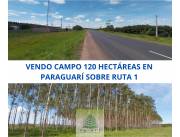 CAMPO 120 HECTÁREAS EN PARAGUARÍ SOBRE ASFALTO RUTA 1