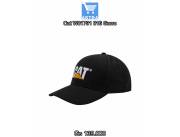 Cat W01791 016 Gorro