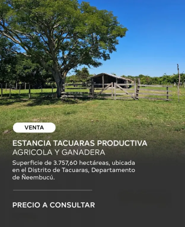 VENDO ESTANCIA TACUARAL DE 3.757 HAS., PRODUCTIVA GANADERA Y AGRICOLA EN ÑEEMBUCU! — foto 3