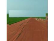 4.163 mecanizadas y en Producción de un total de 6.555 hectáreas totales a Tranquera C. Vd