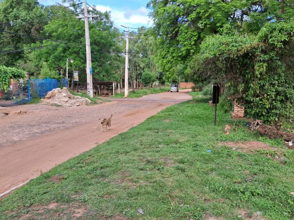 VENDO TERRENO EN LA CIUDAD DE LIMPIO.!!!! — foto 3
