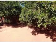 🏡 VENDO TERRENO CON CASITA EN LUQUE