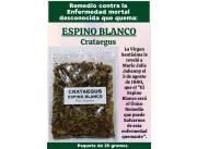 ESPINO BLANCO O CRATAEGUS