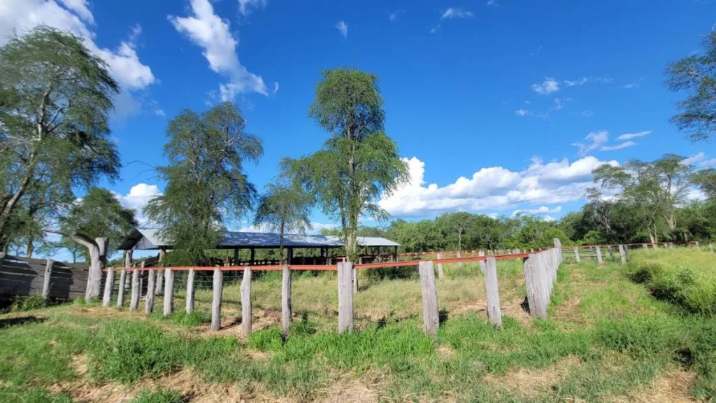 Campo en venta en Teniente Primero Manuel Irala Fernández — foto 2