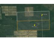 NEULAND, CRUCE DEMATTEI: 1.817 + 1.705 HAS ALTAMENTE PRODUCTIVAS, C/ CERTIFICACIÓN.