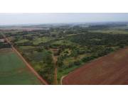 VENDO 40 HECTAREAS EN MINGA GUAZU KM 28 ALTO PARANÁ