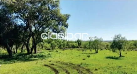 Vendo 68 Hectáreas en Emboscada sobre Ruta — foto 2