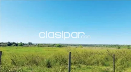 Vendo 68 Hectáreas en Emboscada sobre Ruta — foto 3