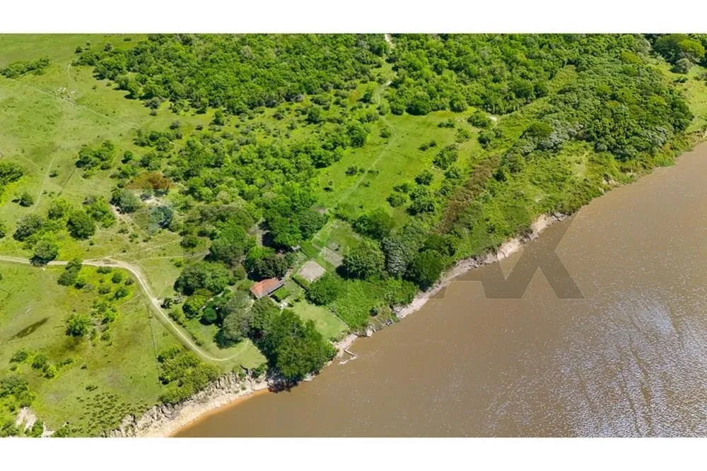 VENDO 1.400 HECTAREAS EN PILAR CSALIDA DIRECTA AL RIO PY Y ORILLA PROPIA,FERTIL Y PLANO — foto 2