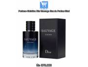 Perfume Christian Dior Sauvage Eau de Parfum 60ml