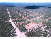 *En venta 10 hectáreas en Pozo Hondo - Mariscal Estigarribia - Departamento de Boquerón