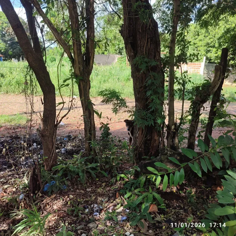 Terreno 360m2 — foto 3