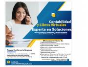 SERVICIOS PROFESIONALES DE CONTABILIDAD Y AUDITORIA INTEGRAL