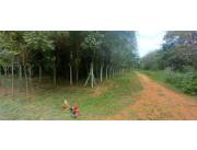 VENDO 3 LOTES EN LUQUE, BARRIO ZARATE ISLA COD 1308