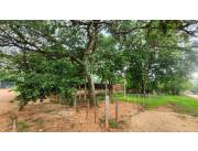 VENDO TERRENO EN ESQUINA - ISLA BOGADO - LUQUE