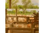 3.200 hectáreas totales. Bajo Chaco., 1.200 ha de Montes Abundantes y autóctonos. VDO/FINA