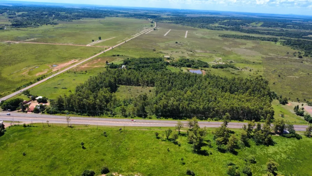 ATENCIÓN INVERSIONISTAS‼️ VENDO 10 HECTAREAS EN CORONEL OVIEDO SOBRE RUTA PY02 — foto 2