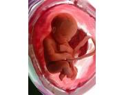 Love ...+256772073327 fertility spell to give you children Black magic spells for pregnan