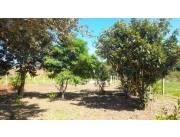 Oferta oferta de dos terrenos juntos