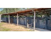 Se vende Campo de 430 has