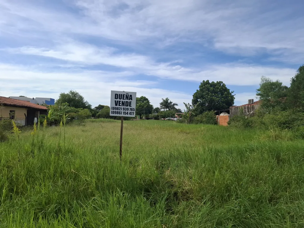 Vendo terreno en limpio — foto 2