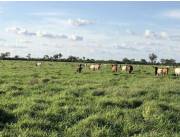 Campo Agrícola/Ganadero en La Patria - 6125 Ha.