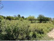 Terreno Comercial / Industrial en Nanawa - 1 Ha.