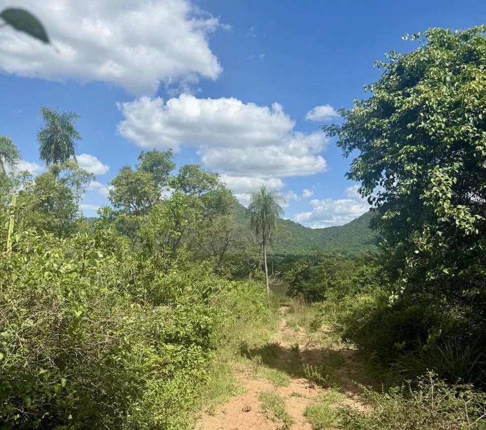 Campo AgrícolaGanadero en Acahay - 150 Ha. — foto 3