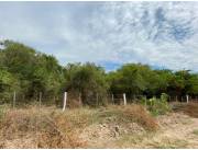 Terreno Rural en Nueva Asunción - 4 Ha.