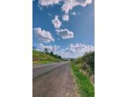 VENDO 48 HECTAREAS EN SAN PEDRO DEL PARANA.