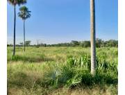 Campo Ganadero en Centinela - 6300 Ha.