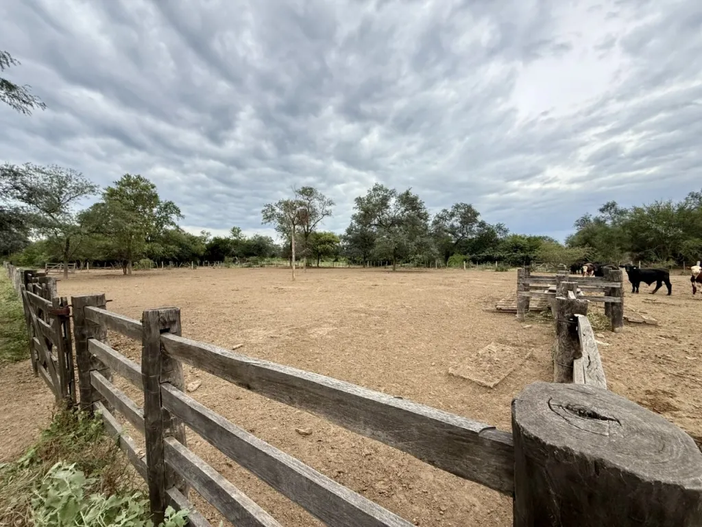 Campo AgrícolaGanadero en Pirizal - 7974 Ha. — foto 3