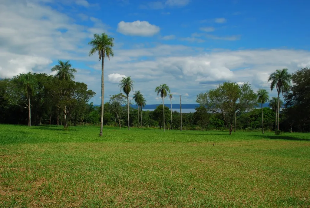 CIERVO CUA, SANBER: INIGUALABLES 14.980 + 8.000 M2 C VISTA PANORAMICA AL LAGO. — foto 2