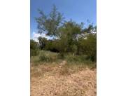 VENDO TERRENO EN SAN BERNARDINO, BARRIO COLON COD 6307