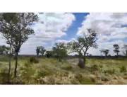 4.000 HECTAREAS DE CAMPO EN FUERTE OLIMPO - CHACO