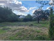 Vendo 2 Terrenos juntos en Luque Sobre Avda. Britez Borges