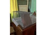 Jaula Trampa para gatos y otros