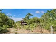 4.000 HECTAREAS DE CAMPO EN ZONA LAGERENZA - CHACO